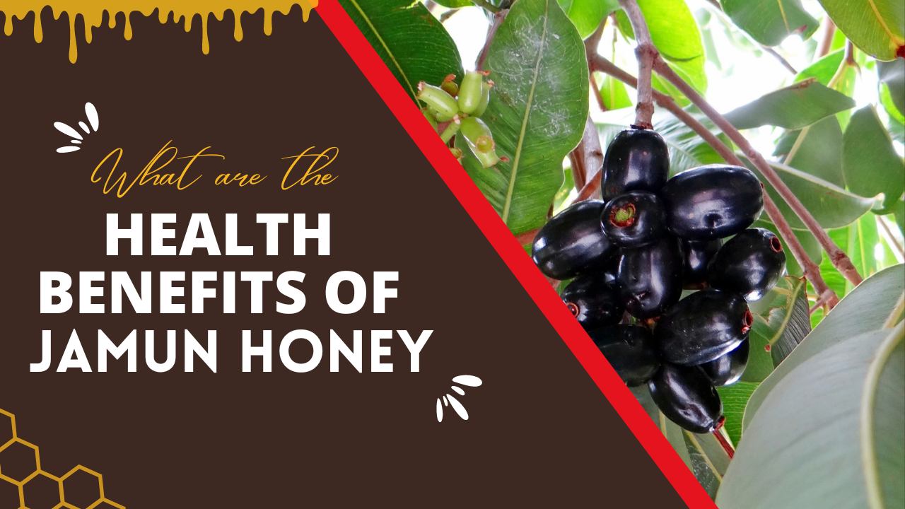 Health Benefits Of Jamun Honey